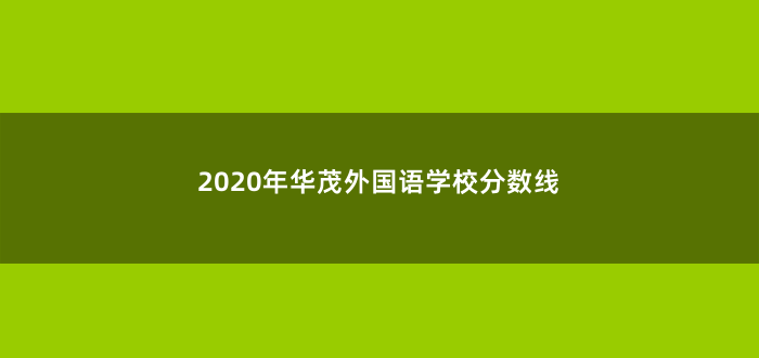 2020年华茂外国语学校分数线