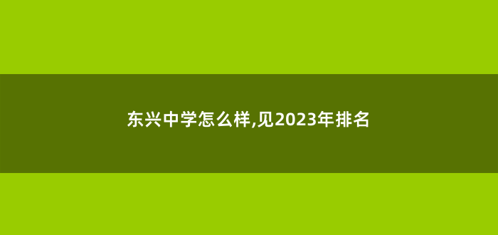 东兴中学怎么样,见2023年排名