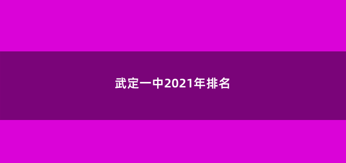 武定一中2021年排名