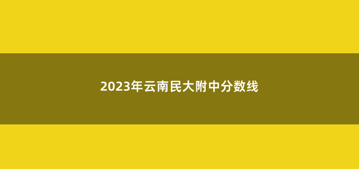 2023年云南民大附中分数线